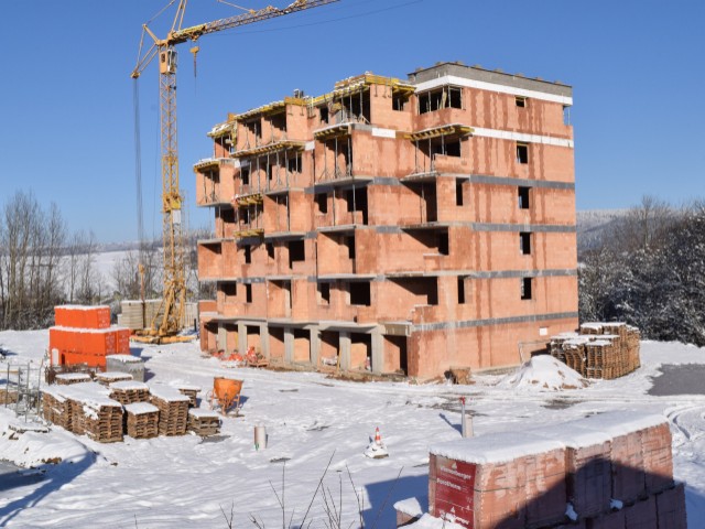 dsc_2442.jpg