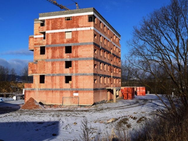 dsc_2767.jpg
